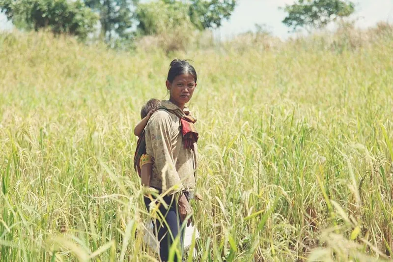 Semillas que no se venden: campesinas frente al avance de los transgénicos en América Latina